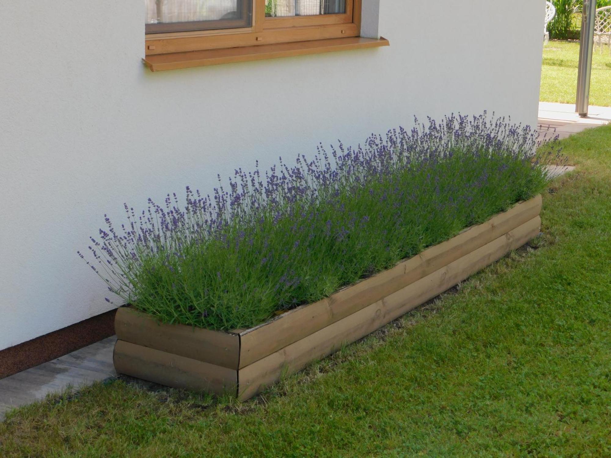Forest House Sasino-Spa Sauna Balia Exterior photo